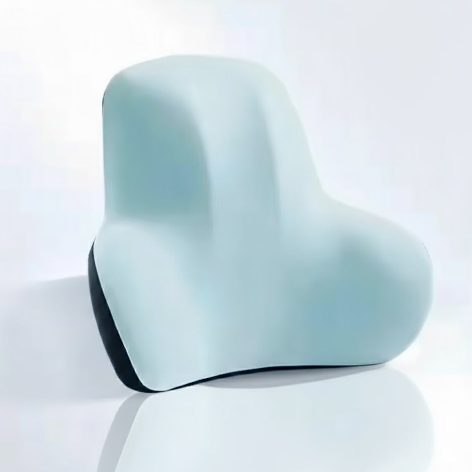 SpineEase Lumbar Cushion