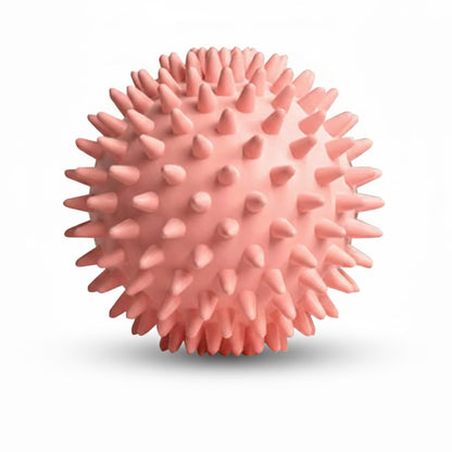 Spiky Relief Ball